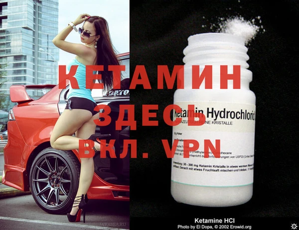 шишки Абаза