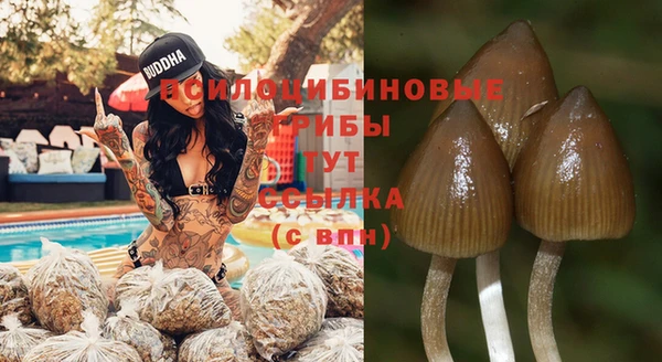 прущие грибы Россошь