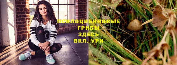 стаф Абинск
