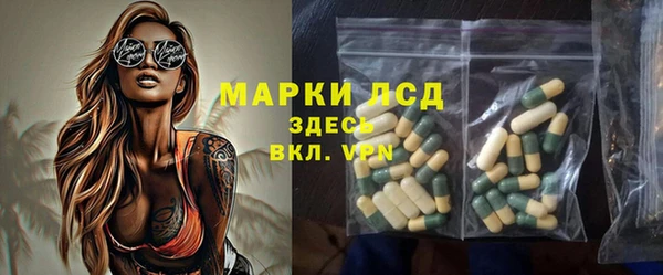 шишки Абаза