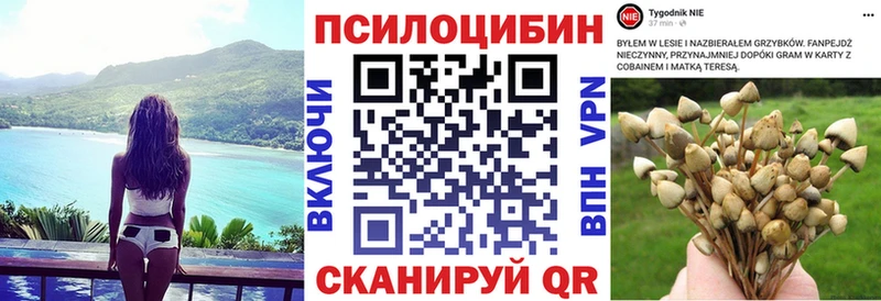 магазин    Алдан  mega зеркало  Галлюциногенные грибы прущие грибы 
